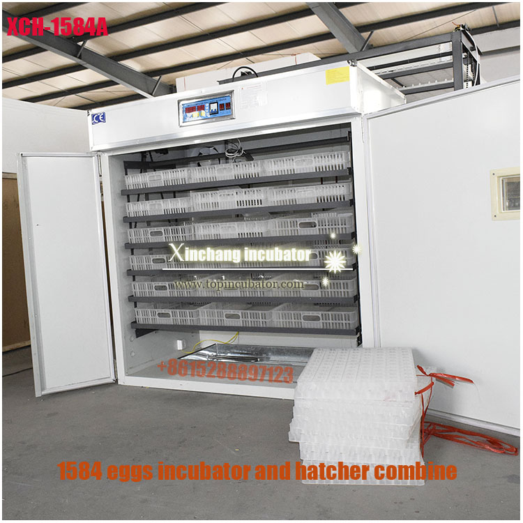 1584枚鸡蛋孵化机