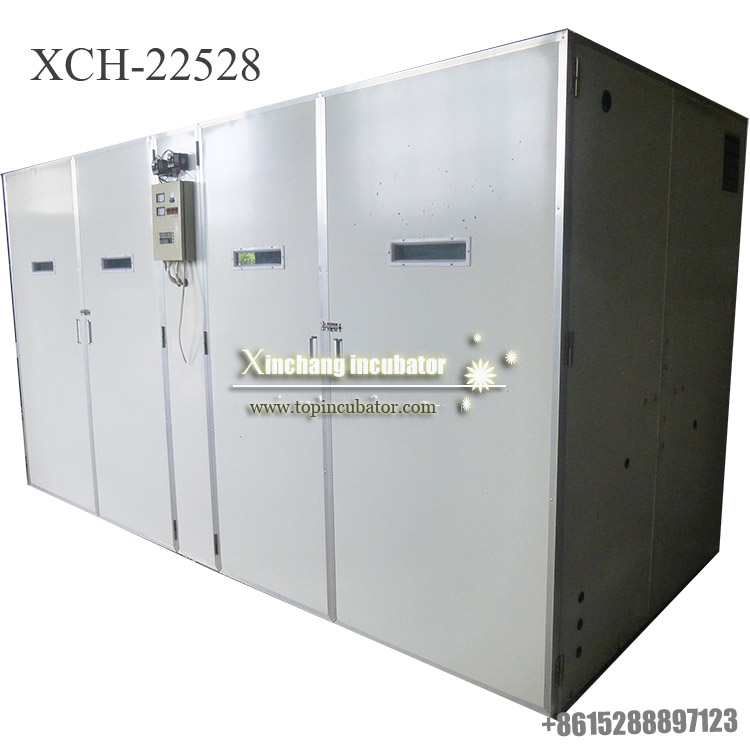 22528枚大型孵化设备