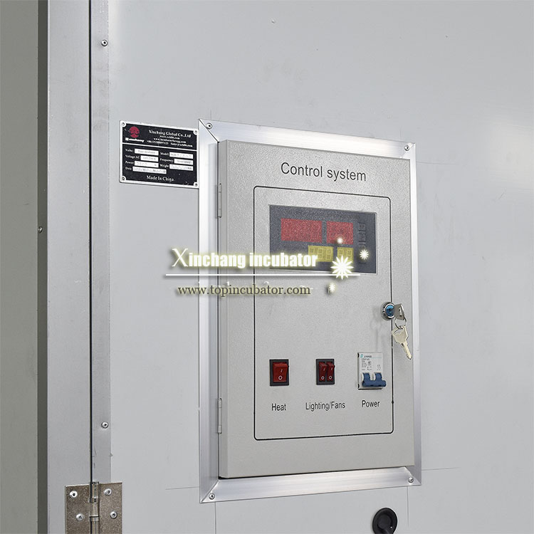 50688枚大型孵化设备