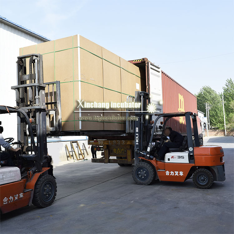 50688枚大型孵化设备