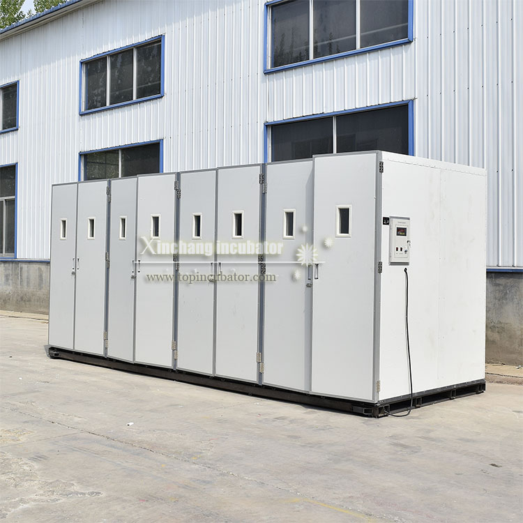 50688枚大型孵化设备