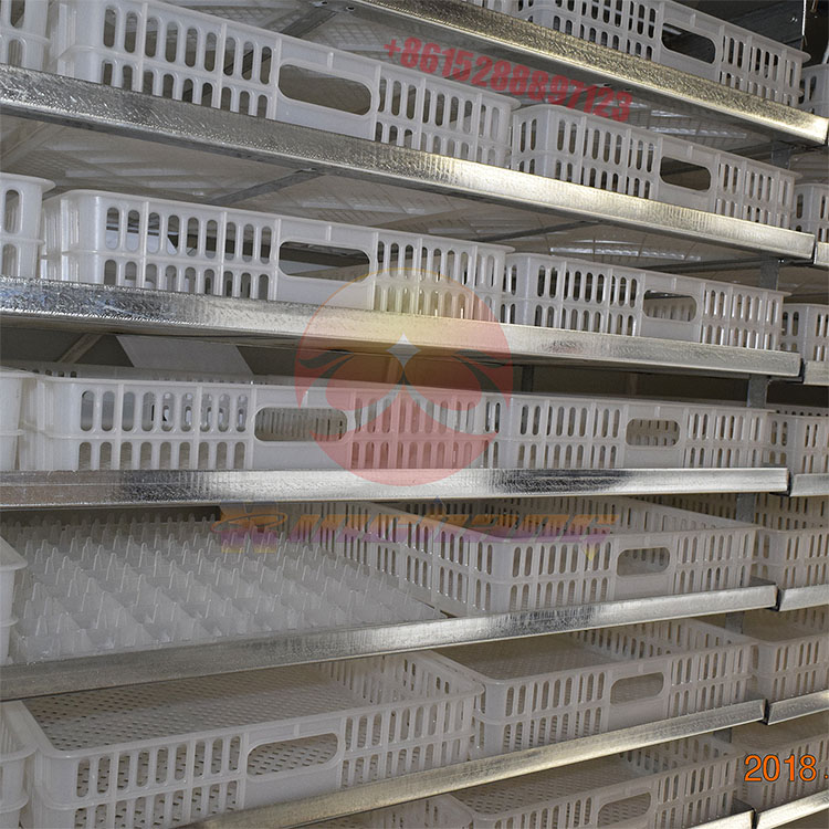 5280枚中型全自动孵化机