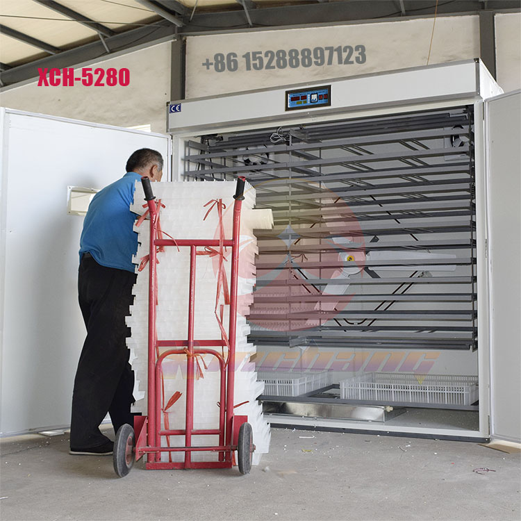 5280枚中型全自动孵化机